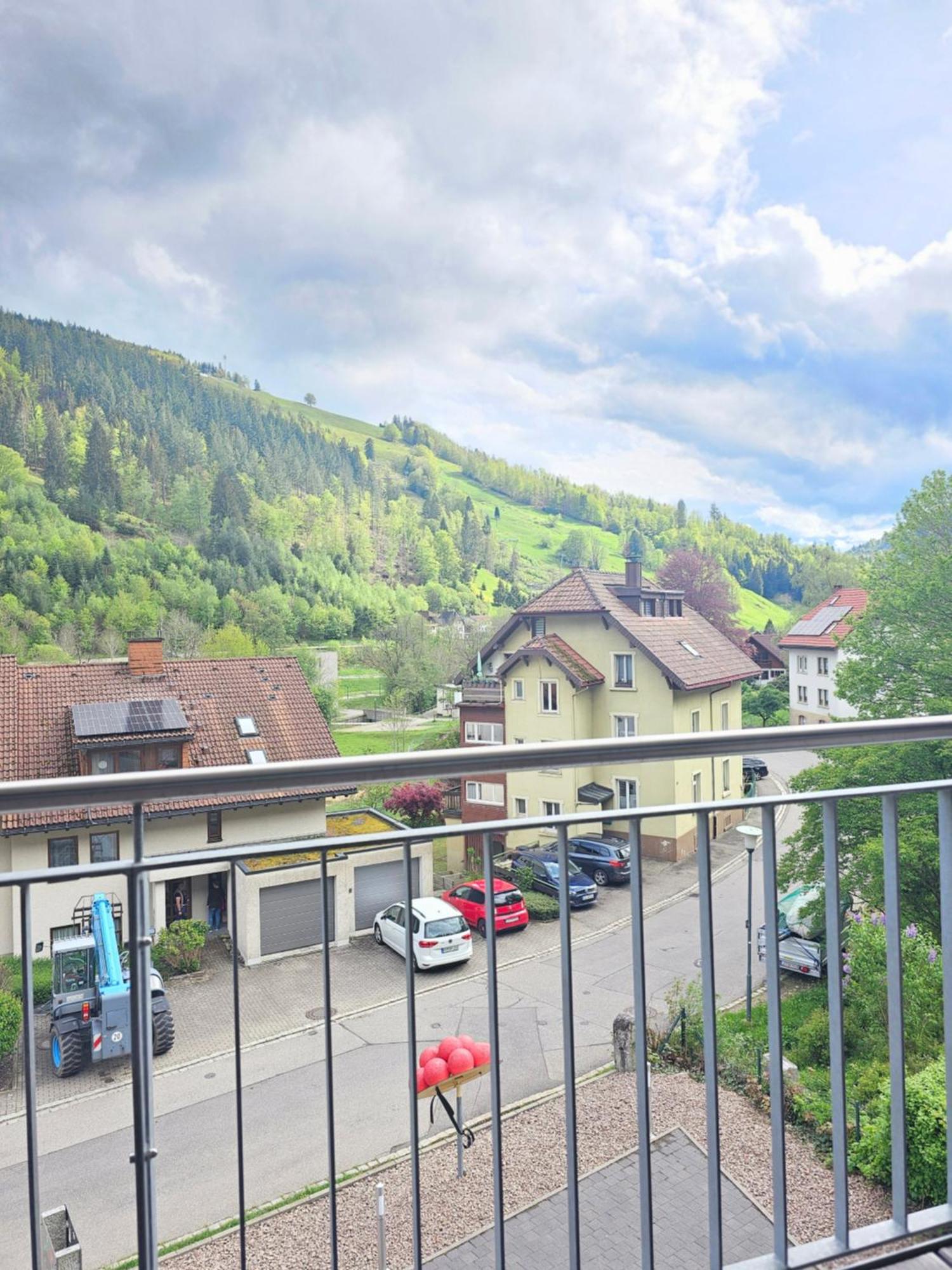 Black Forest II Sauna I Boxspring I Nespresso I Ausblick I Wasserfaelle Im Ort Todtnau Exterior foto